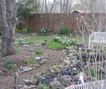 whiteshadowsgardens 002