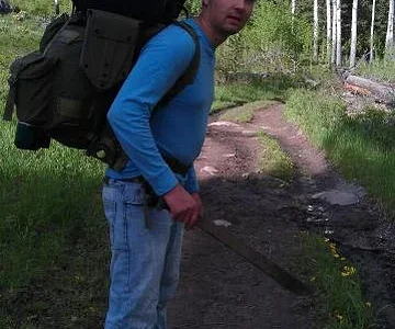Yellowstone bear bait
