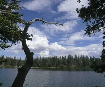Fairy Lake. Last stop on our rounder. Small, high alpine, used to go here as a kid, not far from town. Had a 'push-button' Dodge that I'd drive up here to when I was 14 pre license. Pretty, but all hikers, bikers, dogs now of it now. And 'every' Subi driv