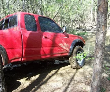 Adam leading the way