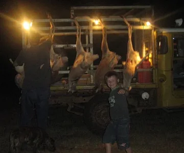 Chris and Aiden gutting Roo's