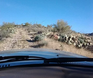 Phoenix and wheeling 24