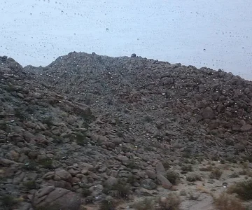 Phoenix and wheeling 14