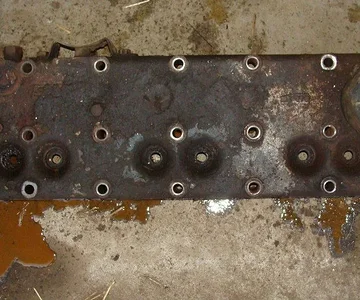 head