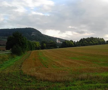 feld