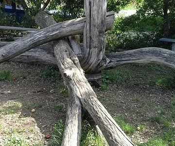 34