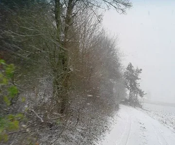 snow4