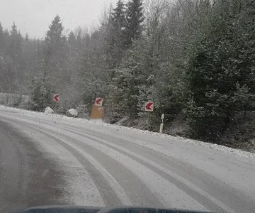 snow3