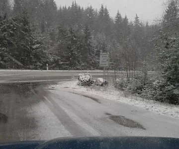 snow1