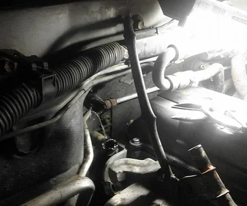 hoses