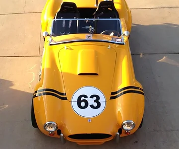 41