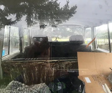 through back window