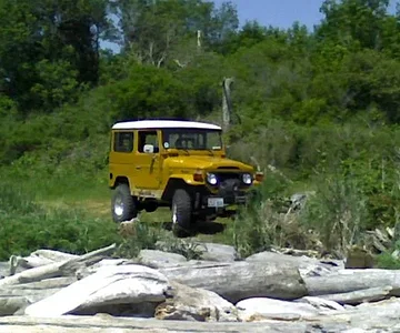 PIC 0011