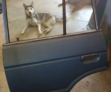 LR Door out