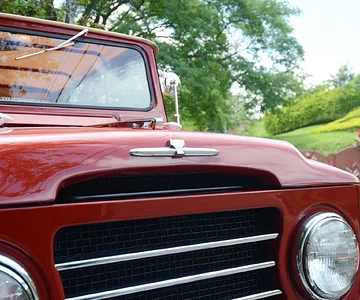 Hood Ornament