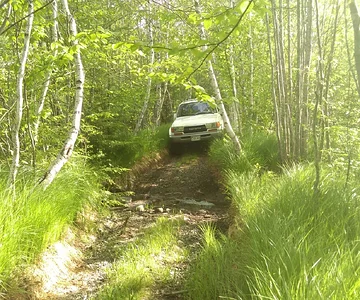 A tight trail in Standish, Maine