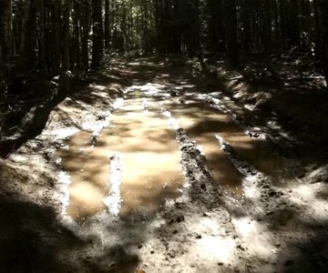 4-Climbing up Pleasant Mtn. Maine