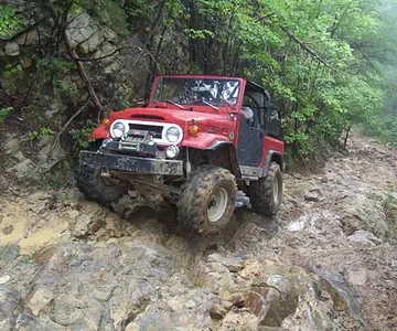 Royal Bue, TN