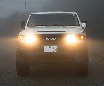 In the fog