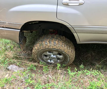 A little flex..