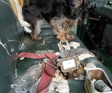 Red belts and big window carb