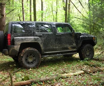 Hummer 008