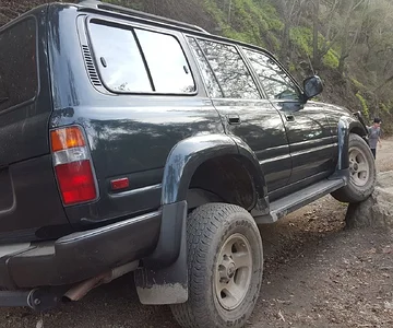 Stock Suspension