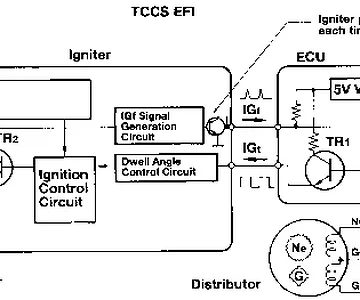 IGFsignalDiagram