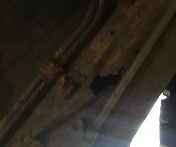 C-channel rust on inner frame, FJ62