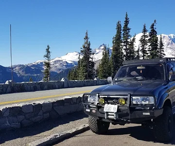 Paradise, Mt. Rainier, WA
