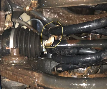 Broken coil spring