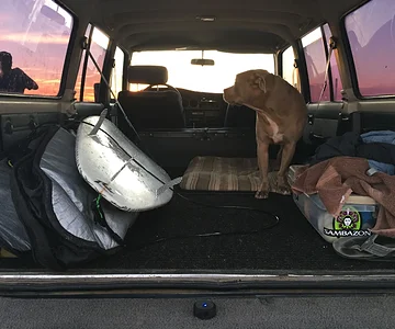 Surf, Dog, FJ62