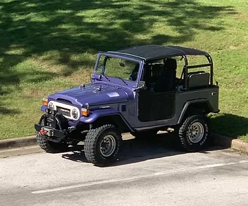Purple Beast