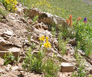 2011_FJSummit_DSC_9591.JPG