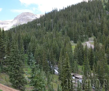 2013-07_FJSummit_DSC_6059.JPG