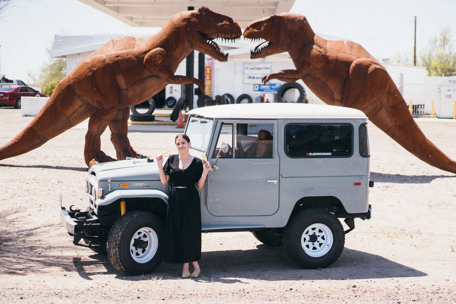 1973 FJ40 Heath Gray - Profile