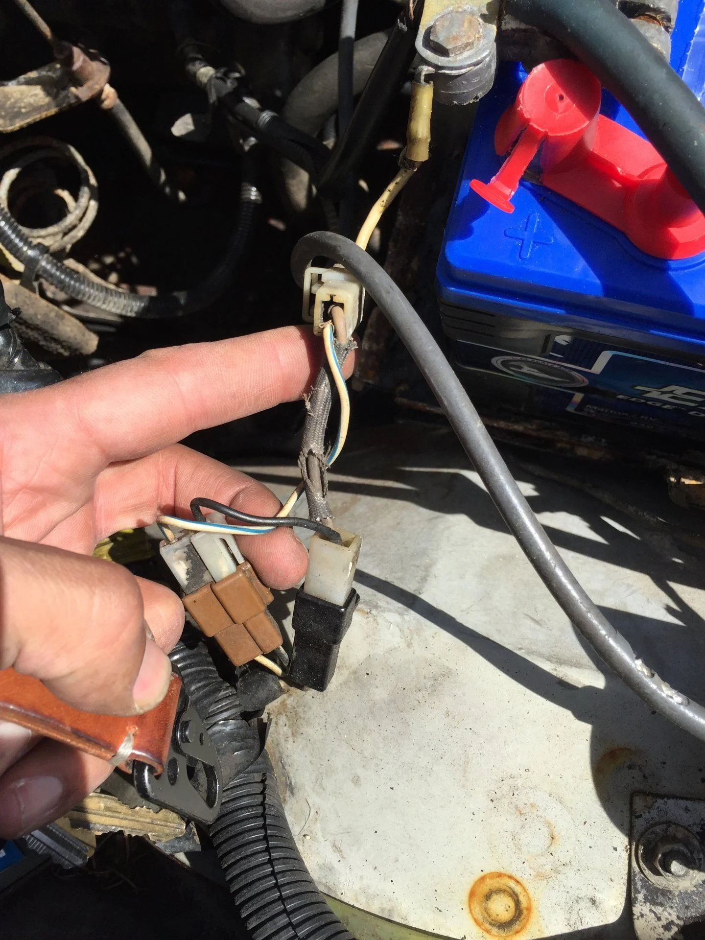 1980 Fusible Link?