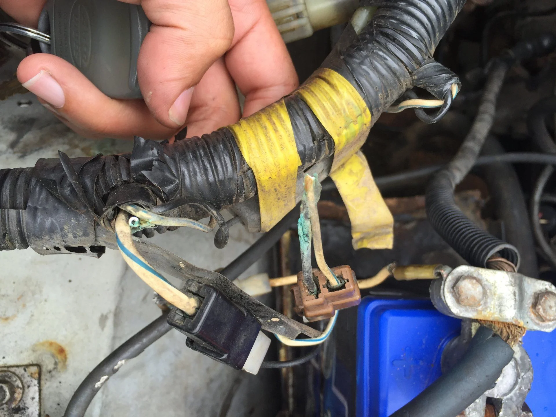 1980 Fusible Link
