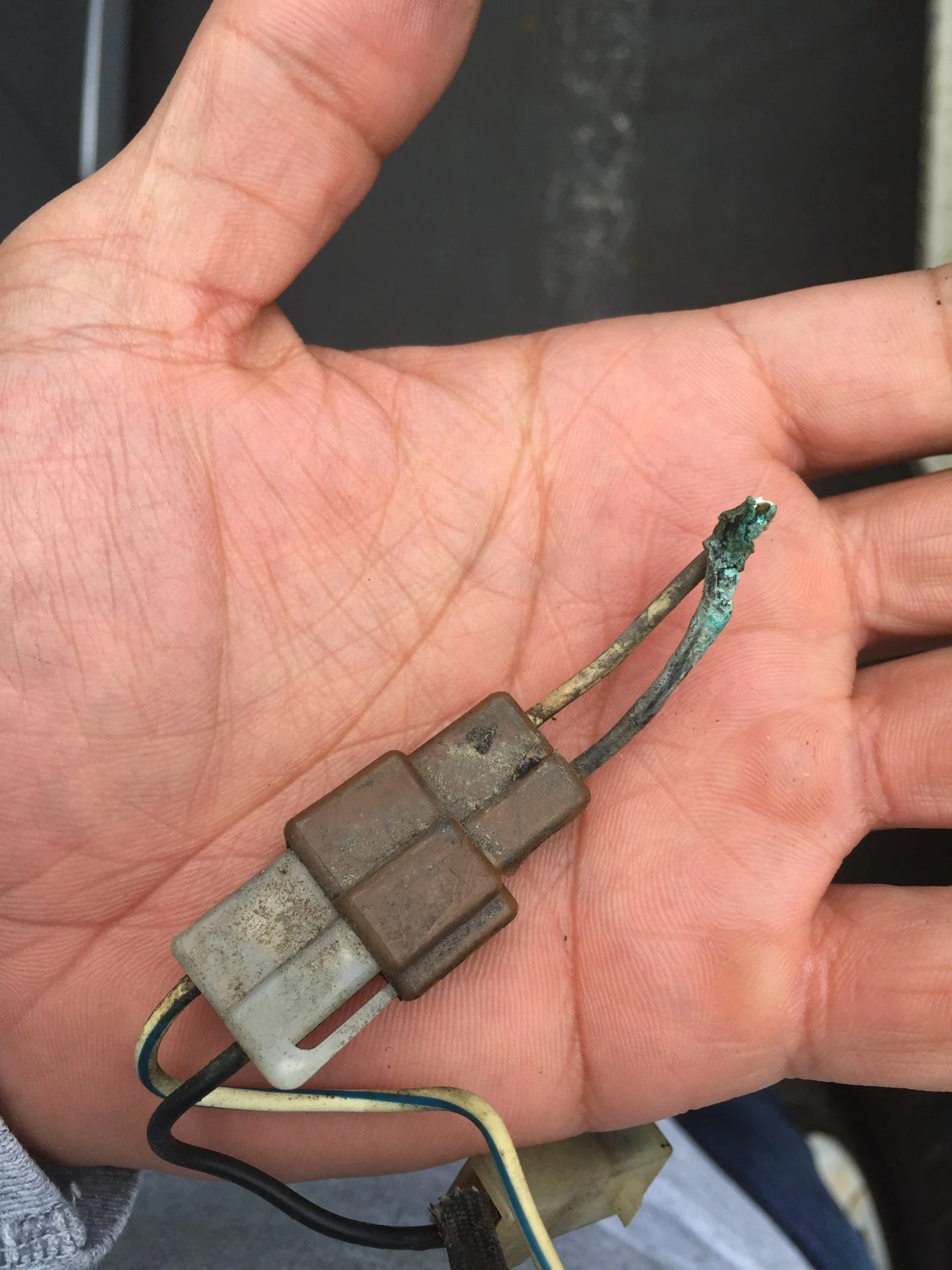 1980 Fusible Link