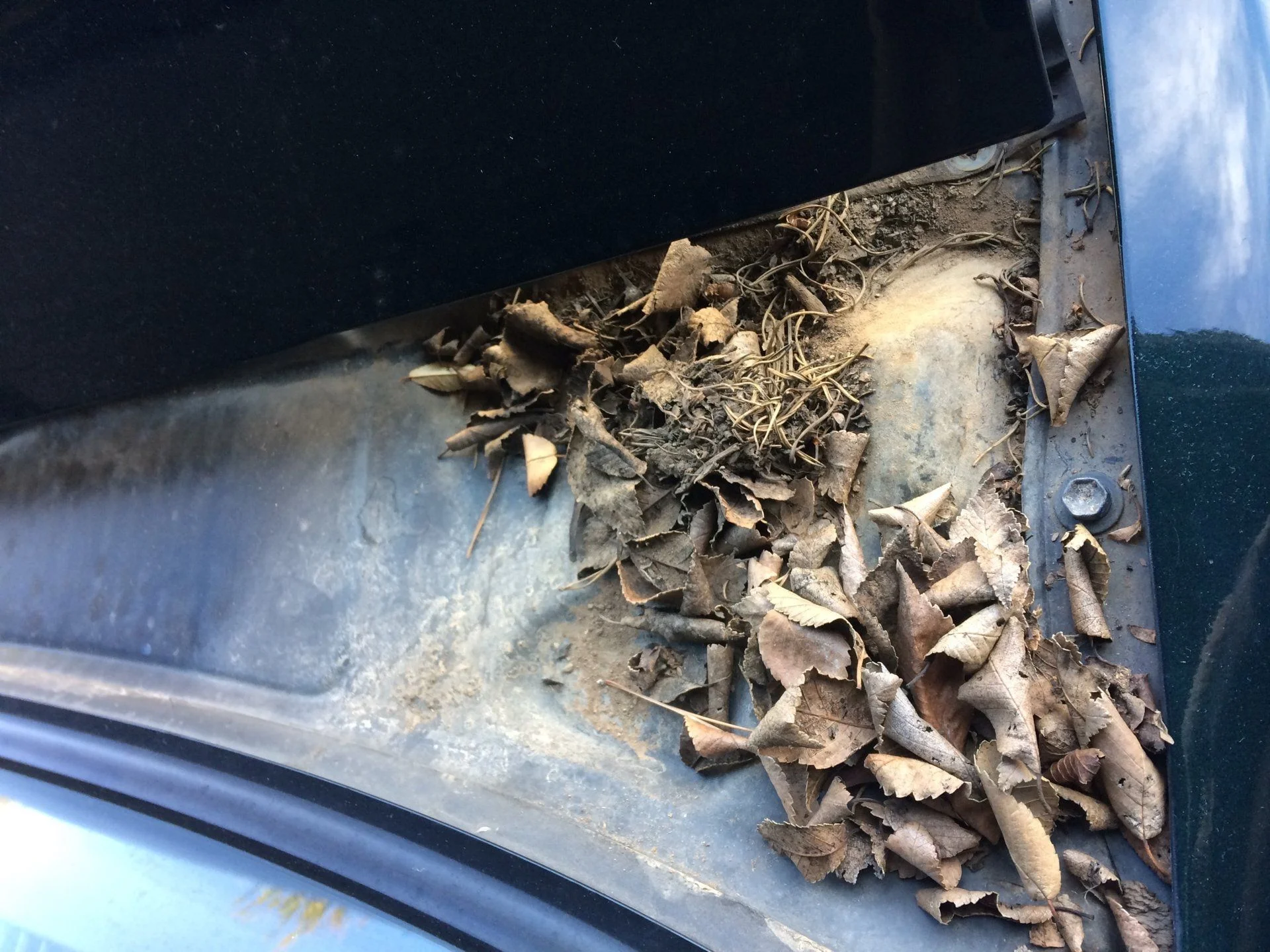 1995 land cruiser cowl