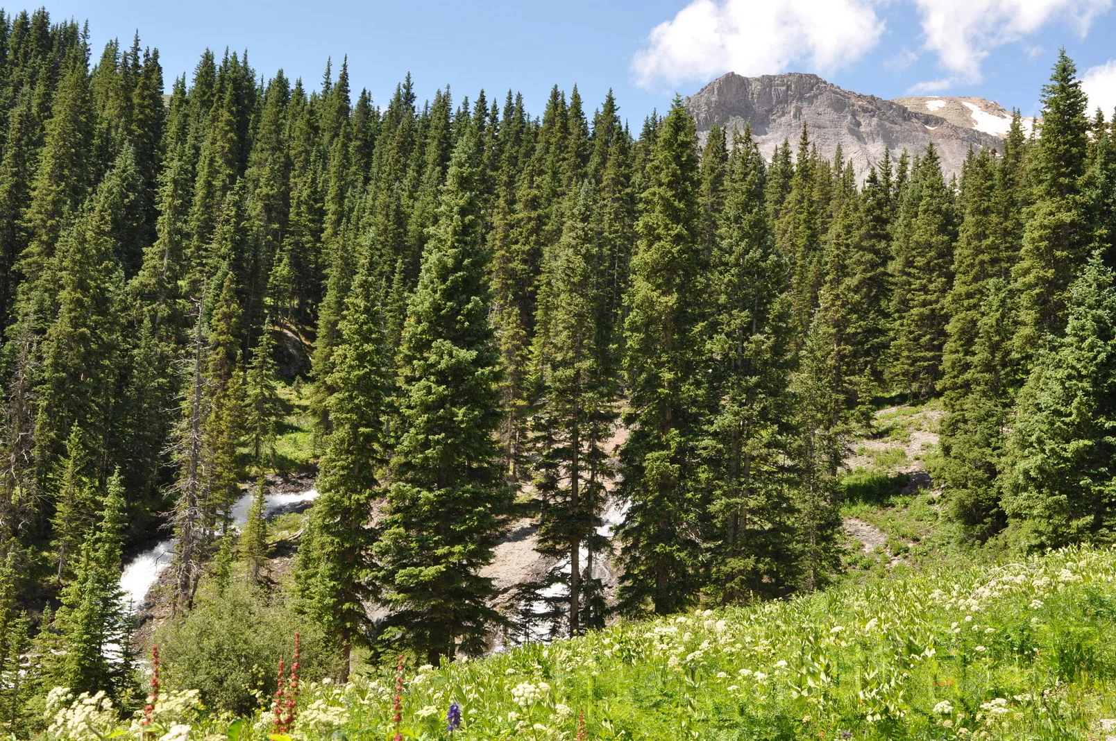 2011_FJSummit_DSC_9416.JPG