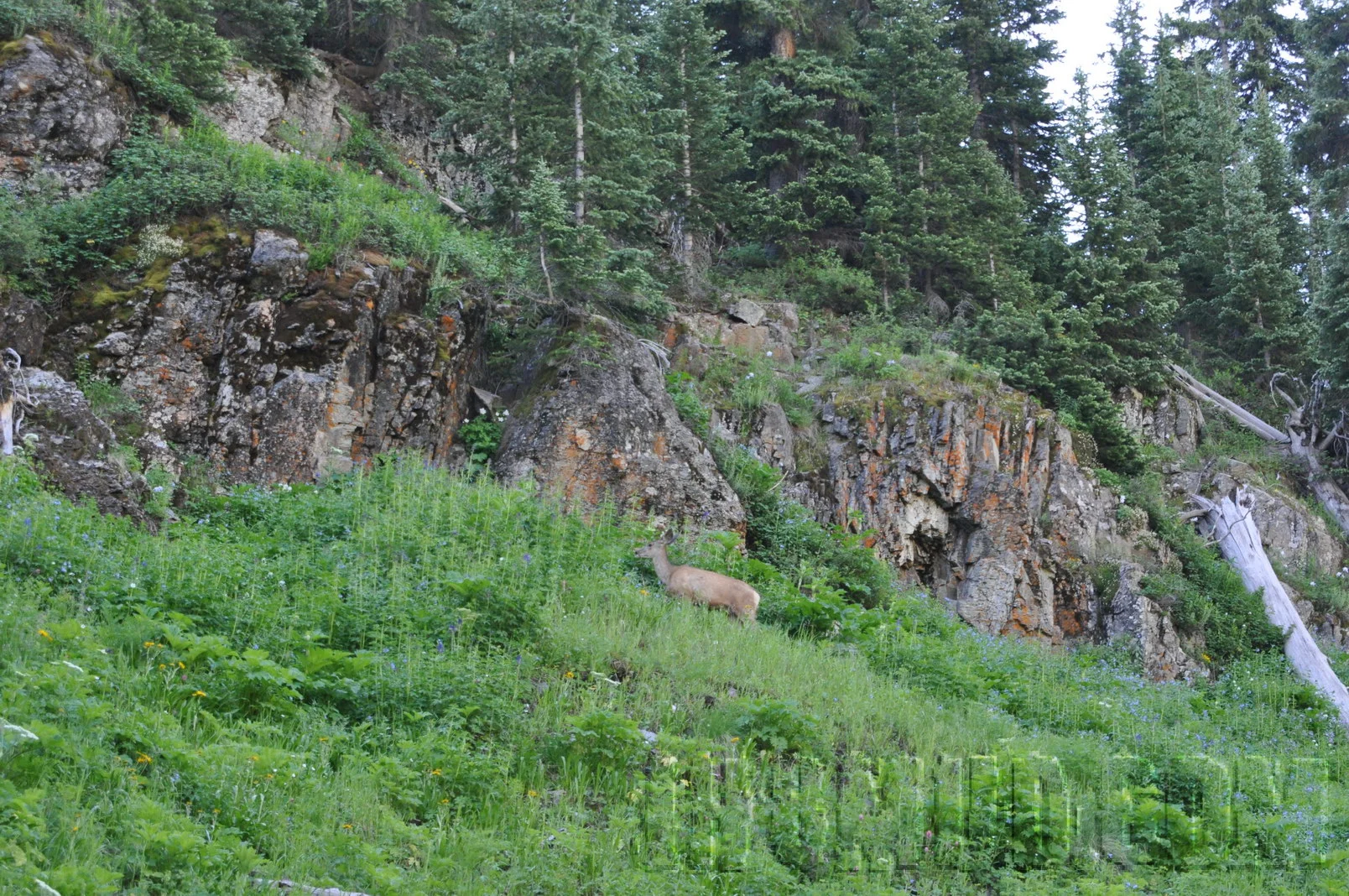 2011_FJSummit_DSC_9465.JPG