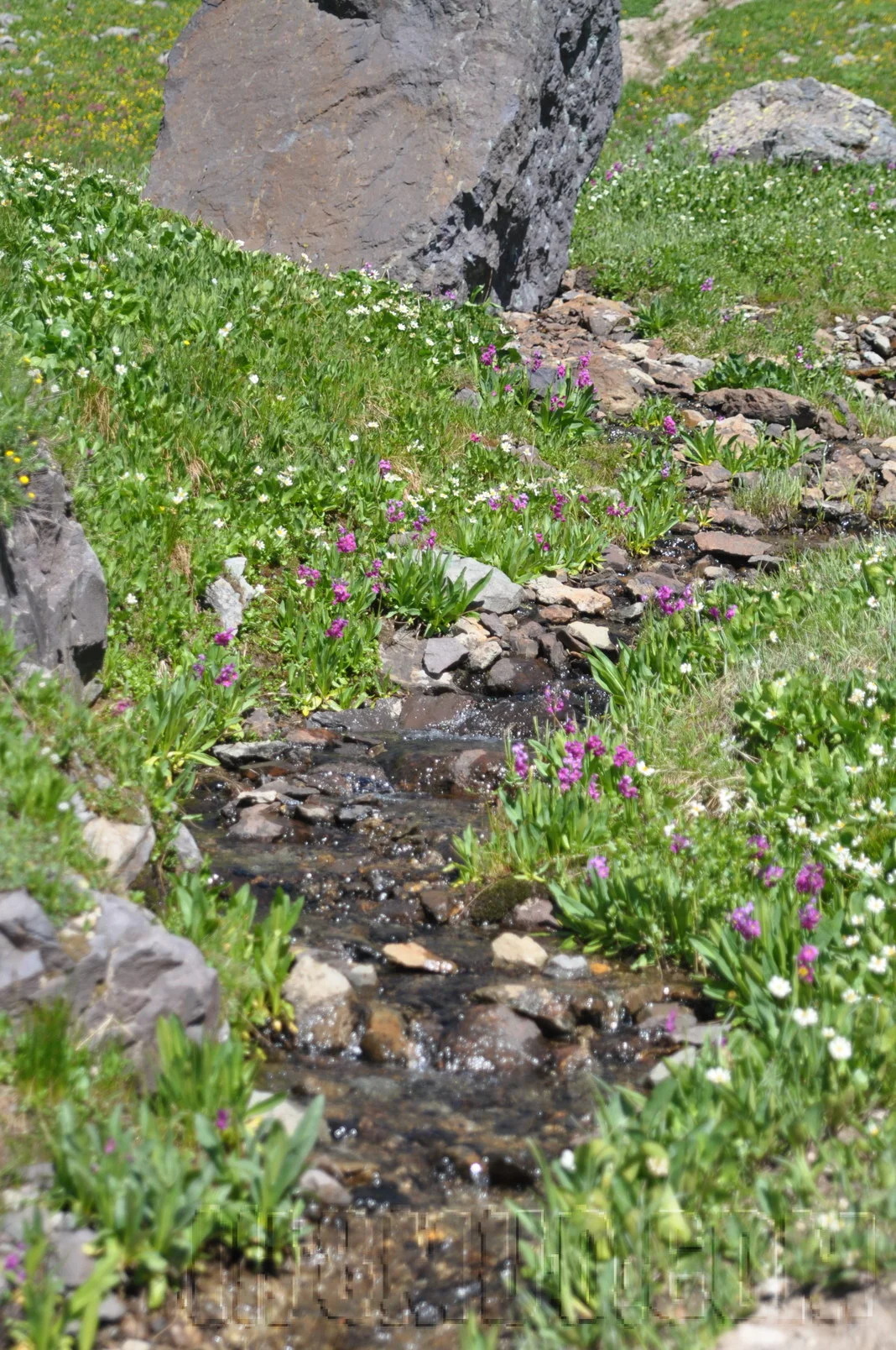 2011_FJSummit_DSC_9563.JPG