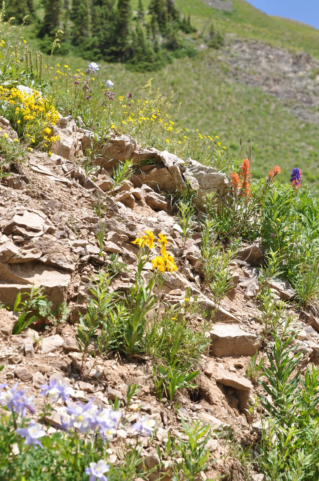 2011_FJSummit_DSC_9591.JPG