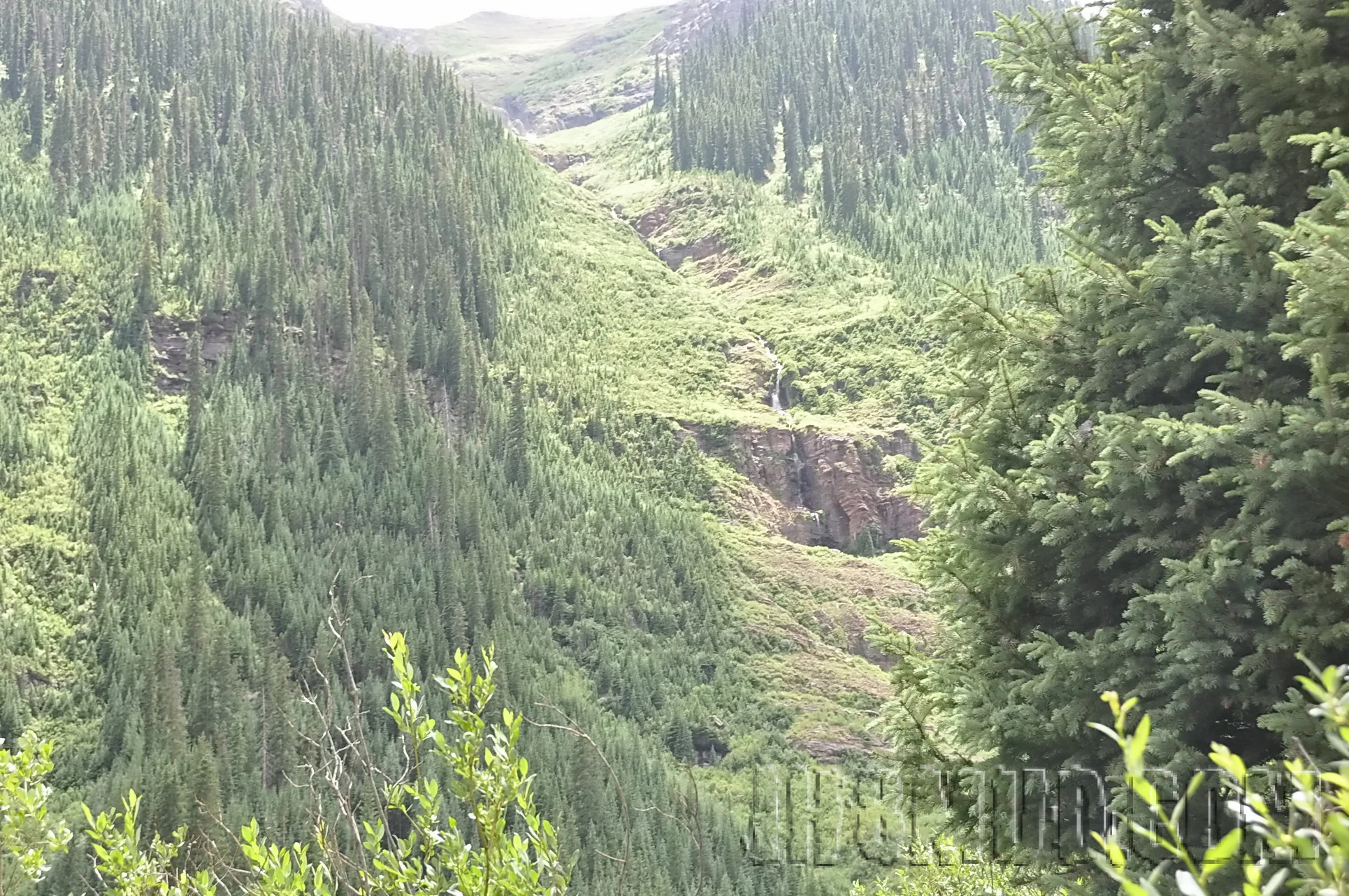 2012-07_FJSummit_DSC_0230.JPG