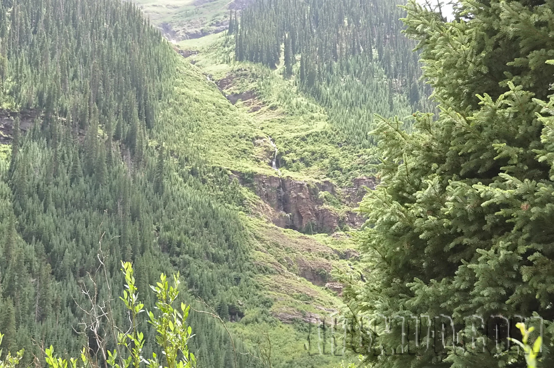 2012-07_FJSummit_DSC_0231.JPG