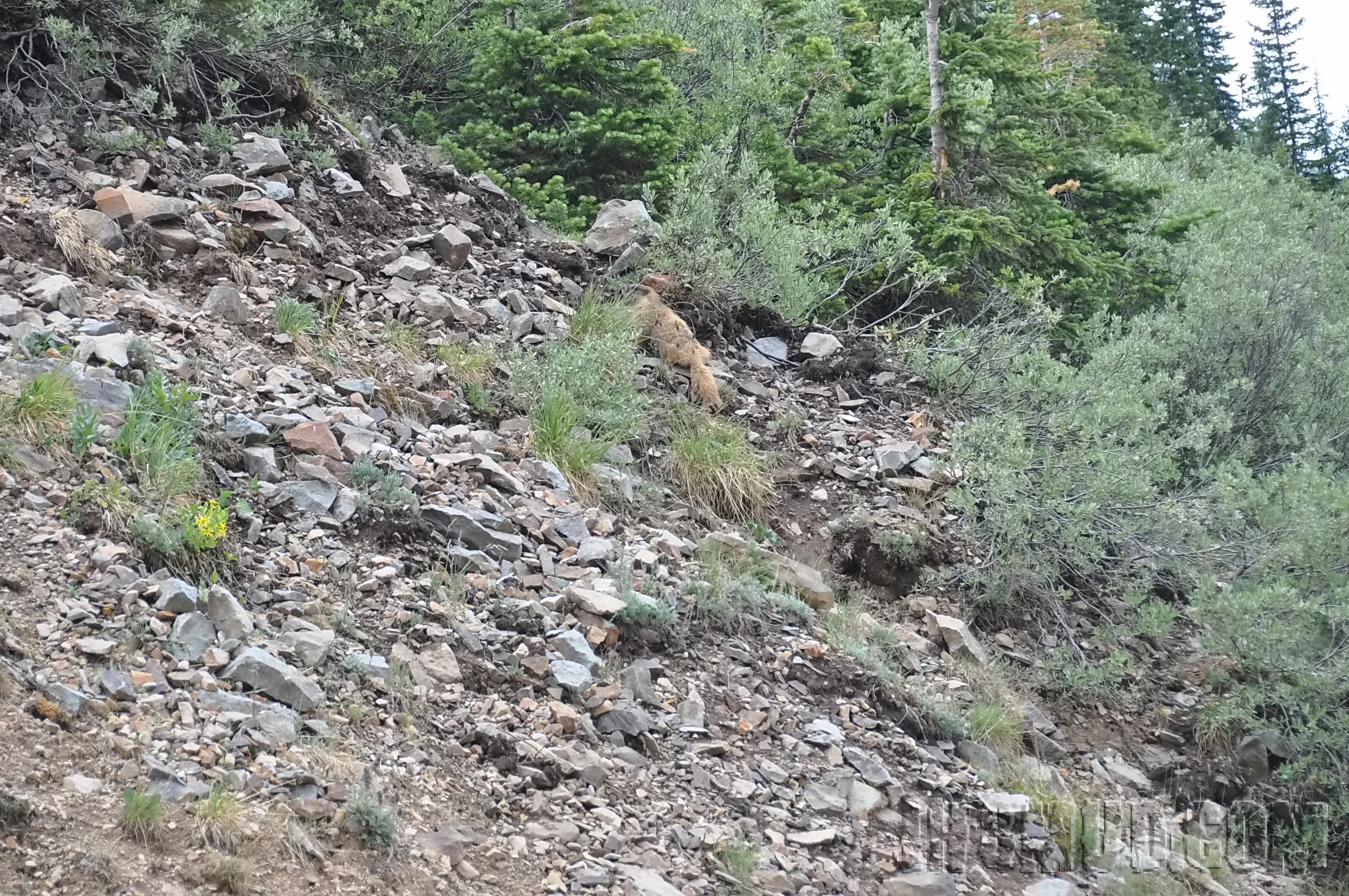 2012-07_FJSummit_DSC_0408.JPG