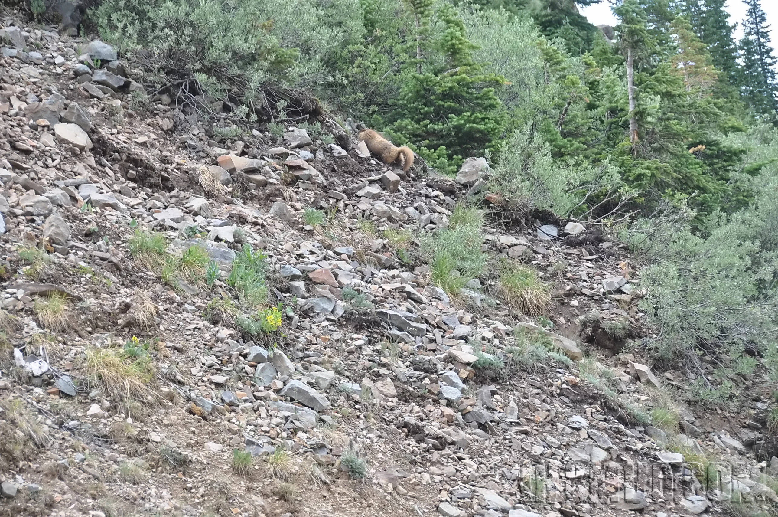 2012-07_FJSummit_DSC_0409.JPG