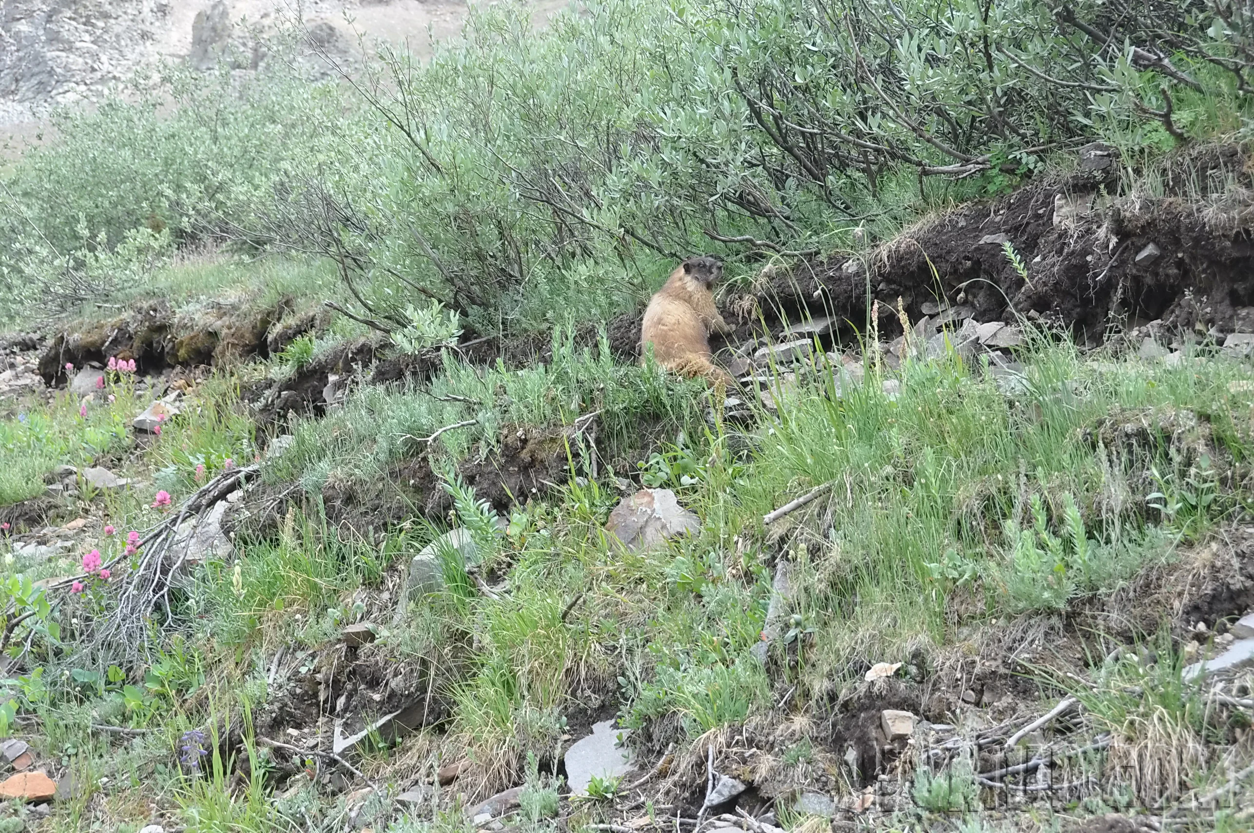 2012-07_FJSummit_DSC_0410.JPG