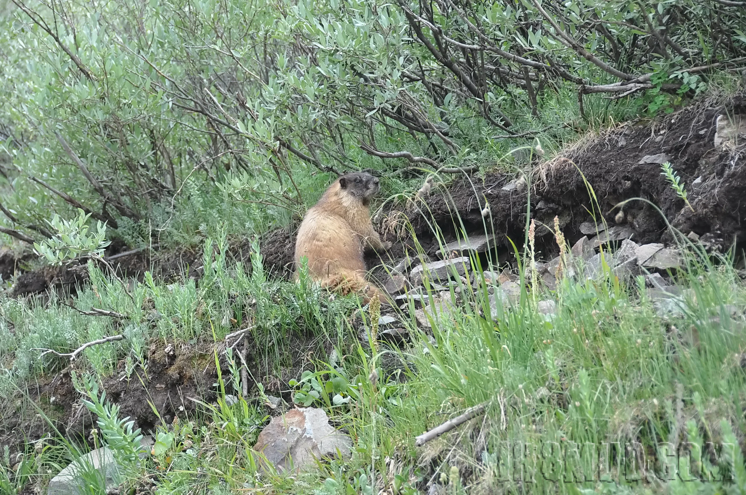 2012-07_FJSummit_DSC_0411.JPG